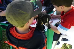 Jardineritos del colegio Belgrano visitaron el Centro de Adopciones