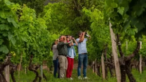 La riqueza natural de Salta posiciona a la provincia entre las principales referentes del país